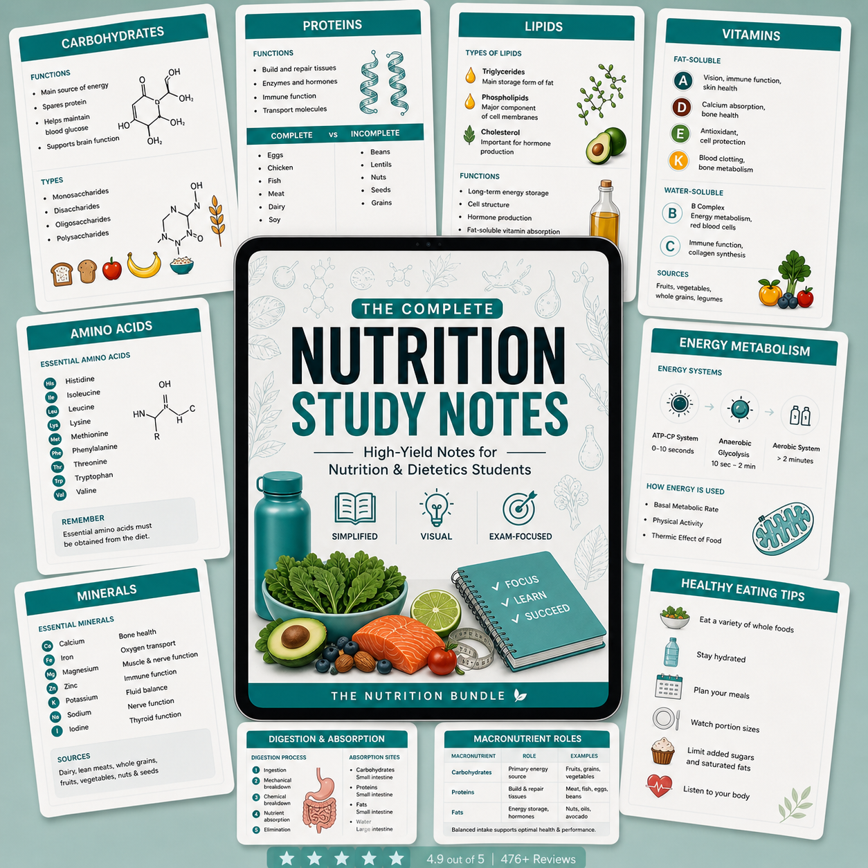 The Nutrition Study Notes